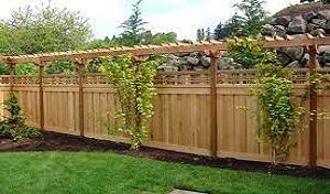 Read more about the article Classy and Modern Backyard Fence Ideas To Create a Private Oasis