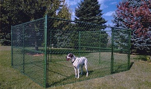 Read more about the article Top Incredible Benefits of Installing Fences For Pet Animals